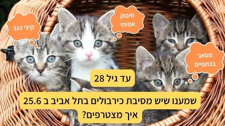 מסיבת כירבולים בתל אביב 25.6.26 (עד גיל 28)