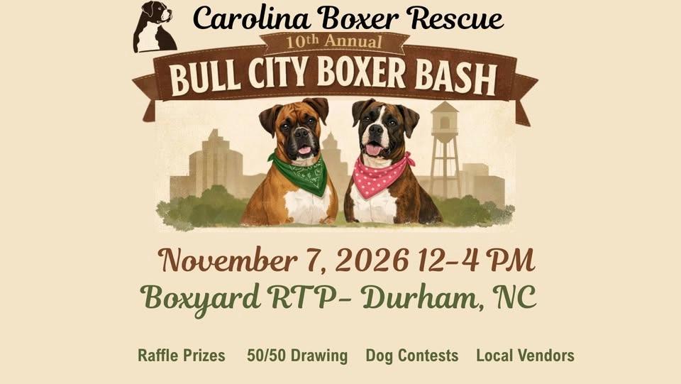 The 10th Annual Boxer Bash!