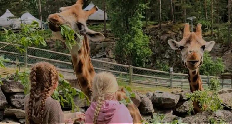 LOs Familjedag på Borås Djurpark