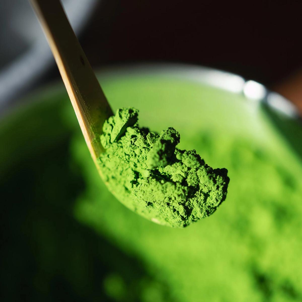 Learn about Matcha and have a taste- by AMIKA MATCHA