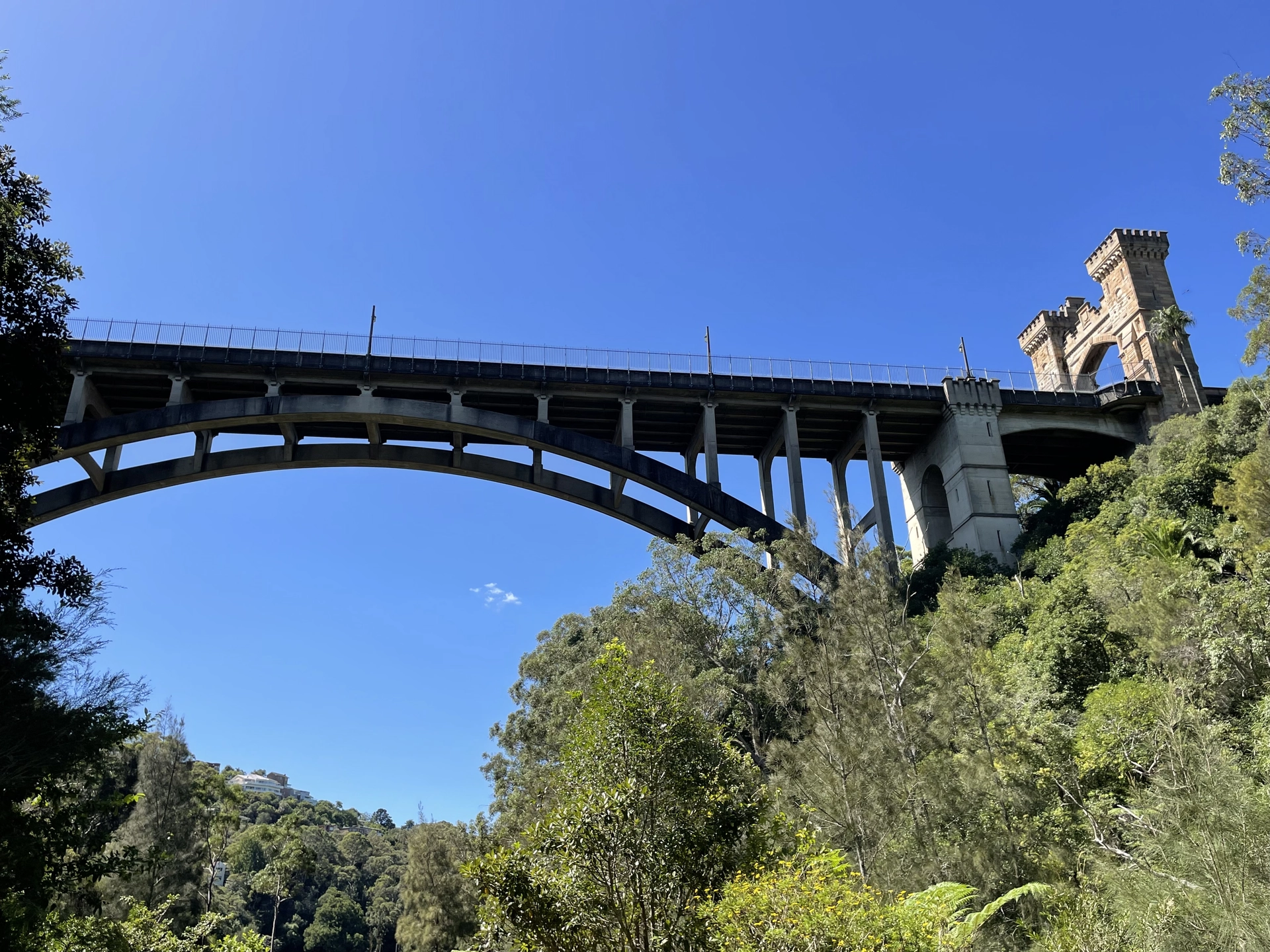 πΏ Artarmon to Northbridge via Flat Rock Gully, Tunks Park & Saltpan Creek π π¦