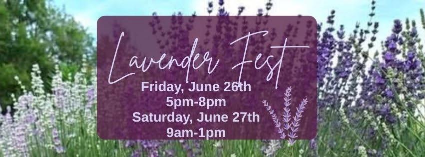 Lavender Fest
