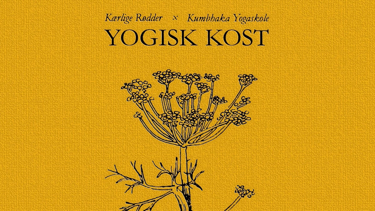 Fællesspisning og foredrag om yogisk kost