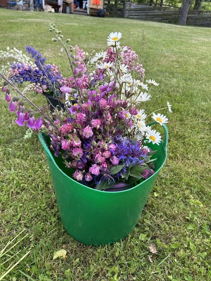 Lövning av midsommarstången