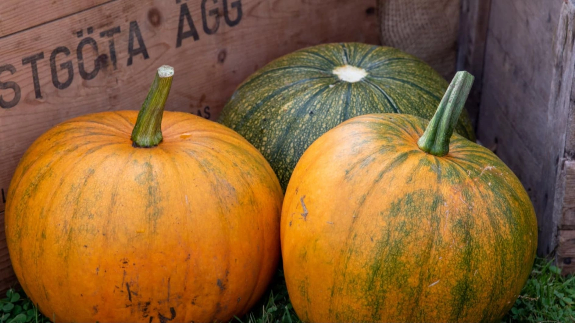 Som utställare på Höstmarknad i Skördetid