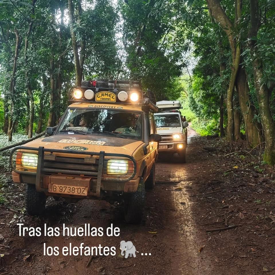 Tras las huellas de los elefantes 🐘