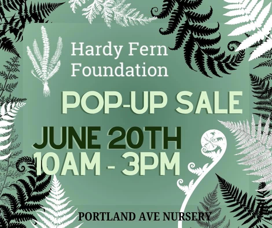 Hardy Fern Foundation pop-up sale