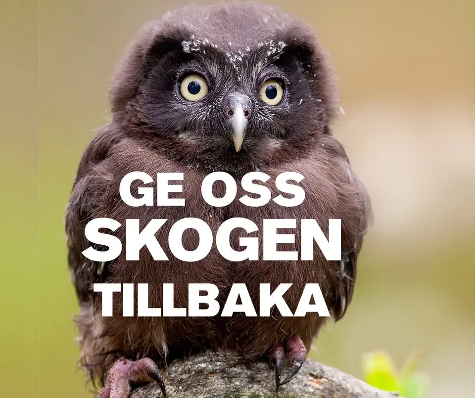 Ge oss skogen tillbaka! - Manifestation för skogen 23 maj