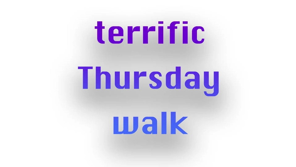 terrific Thursday walk