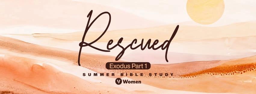 Women's Summer Bible Study
