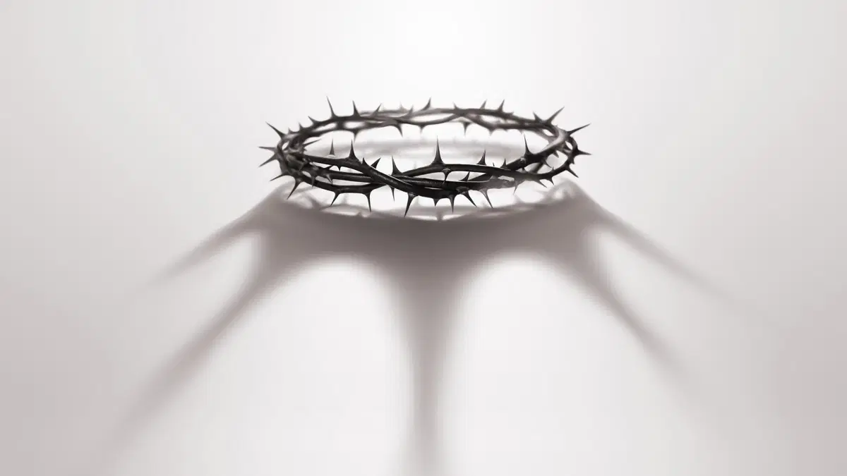 J. S. Bach: Johannespassionen