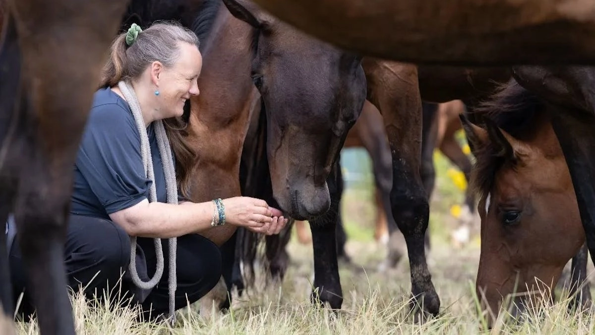 Foredrag om hvordan heste kommunikerer v/Christina Medom fra Hestenørd