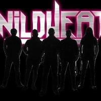 Wild Heat + Divides Unfold + High Ryder. Voodoo Belfast, 22/08