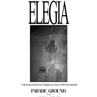 Elegia V with Parade Ground (live)