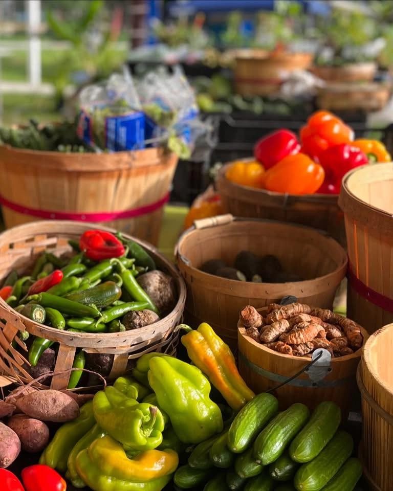 Oviedo Farmers Market