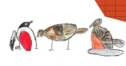 Fågelkväll på Frölunda Kulturhus!