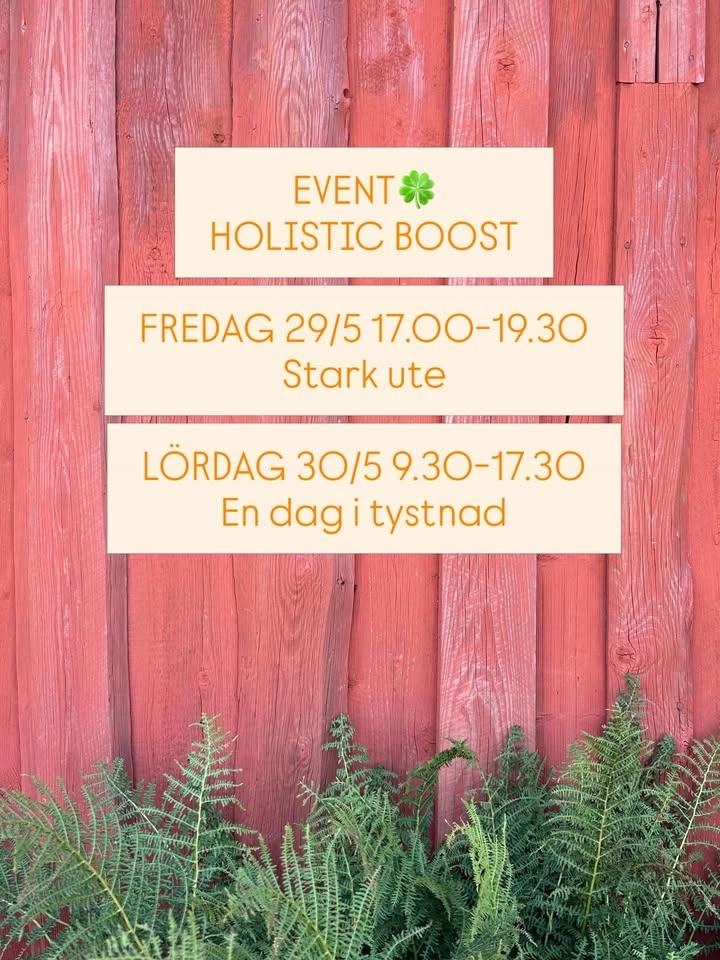 Holistic Boost