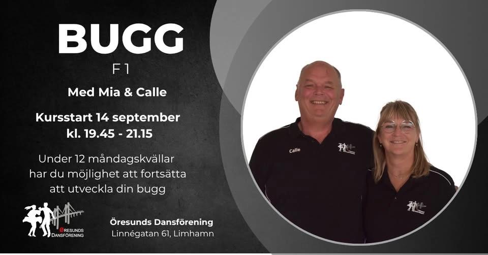 Bugg Fortsättning 1 - Måndagar