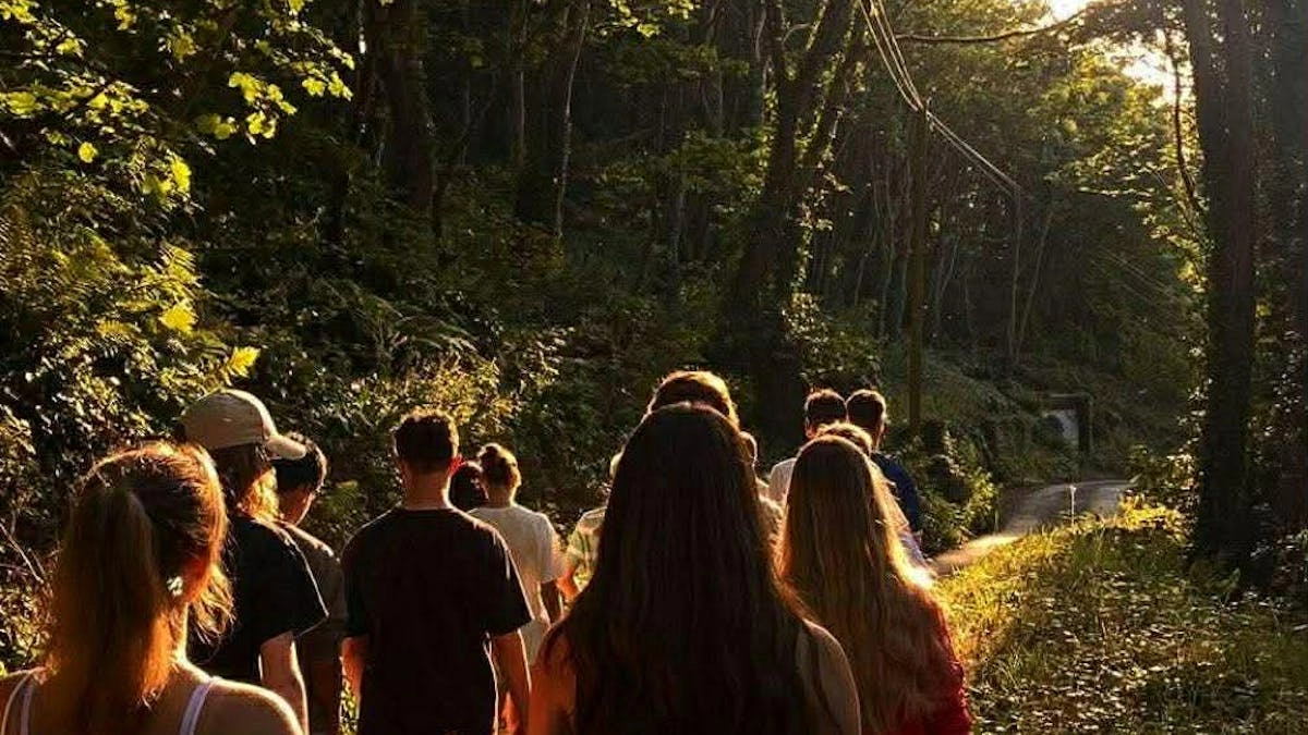 Bevægelse & BMO: Walk & Talk i Riis Skov