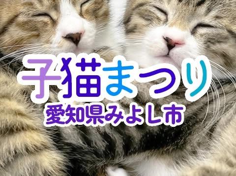 子猫まつり第1弾★みよし市