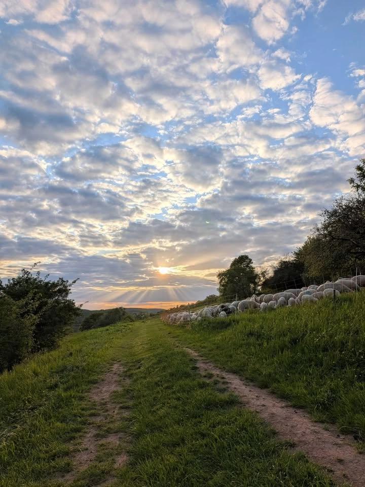 Summer Solstice Practice: Aspiration of Samantabhadra