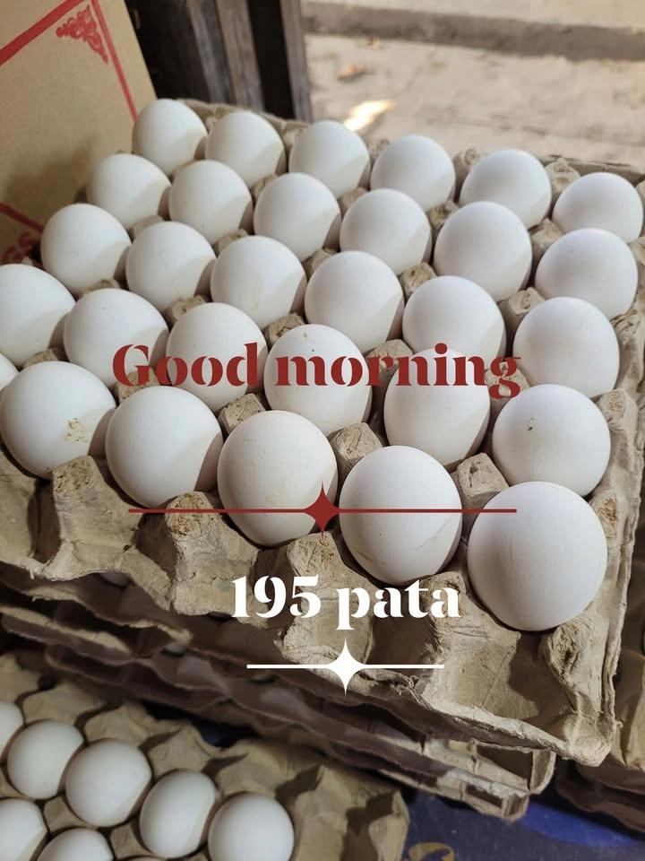 Ranjit Egg STORE