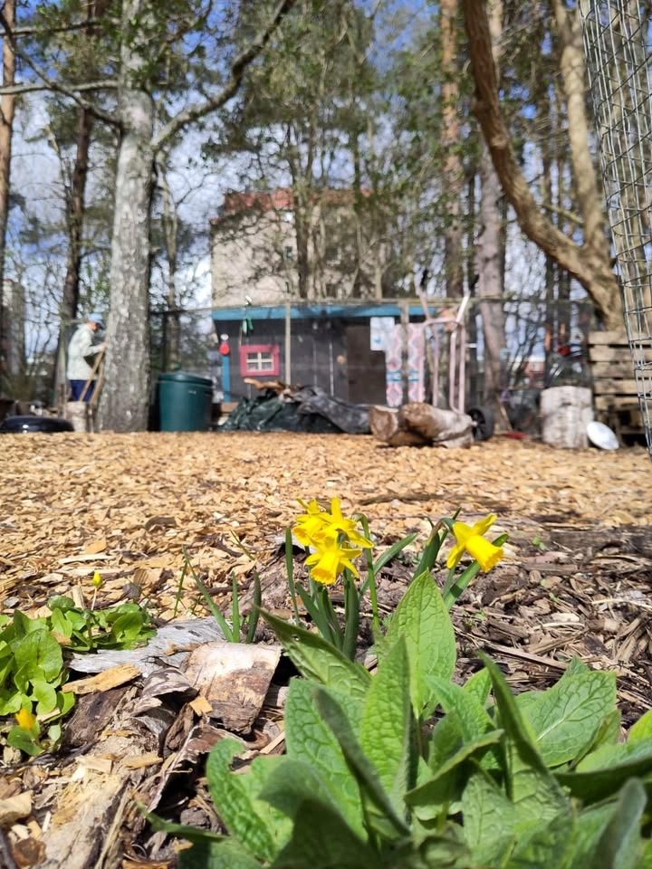 Valborg i Skogsträdgården