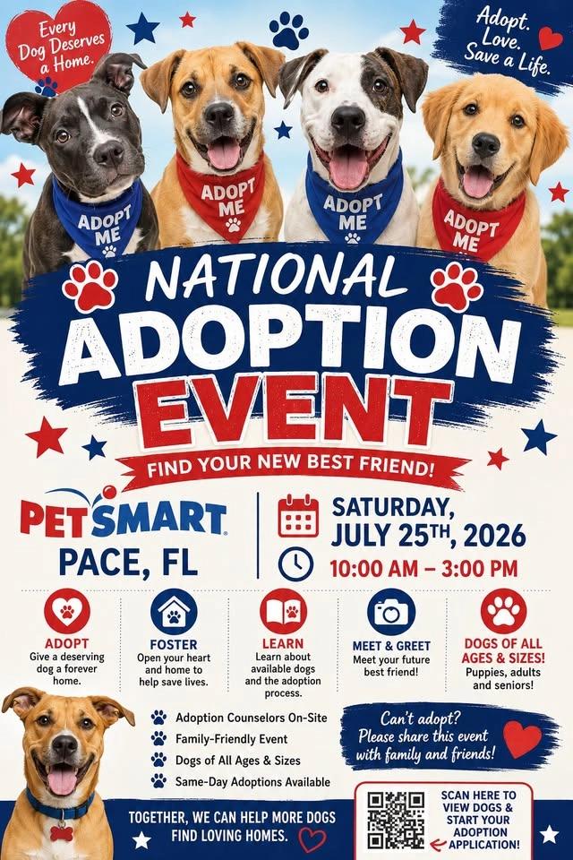 Summer Fun with PetSmart (Pace)