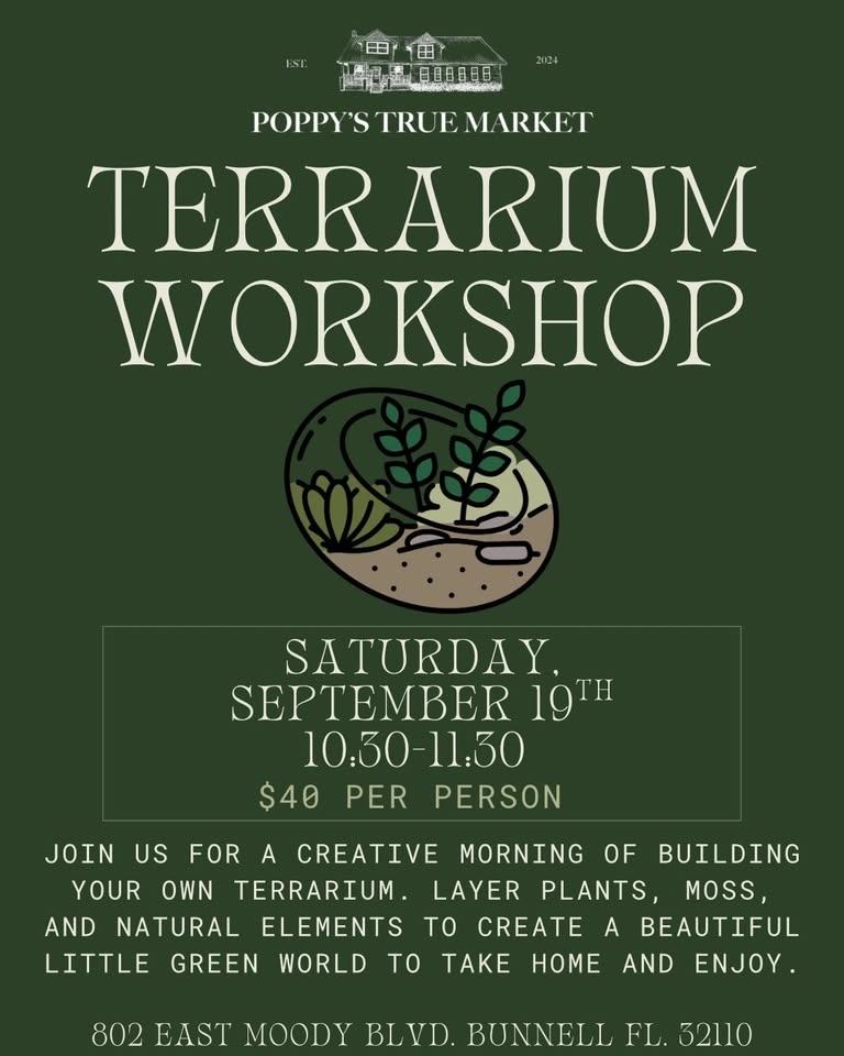 Terrariums
