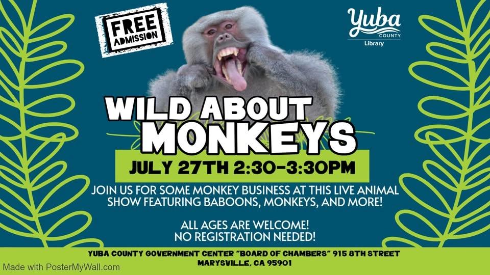 Wild About Monkeys