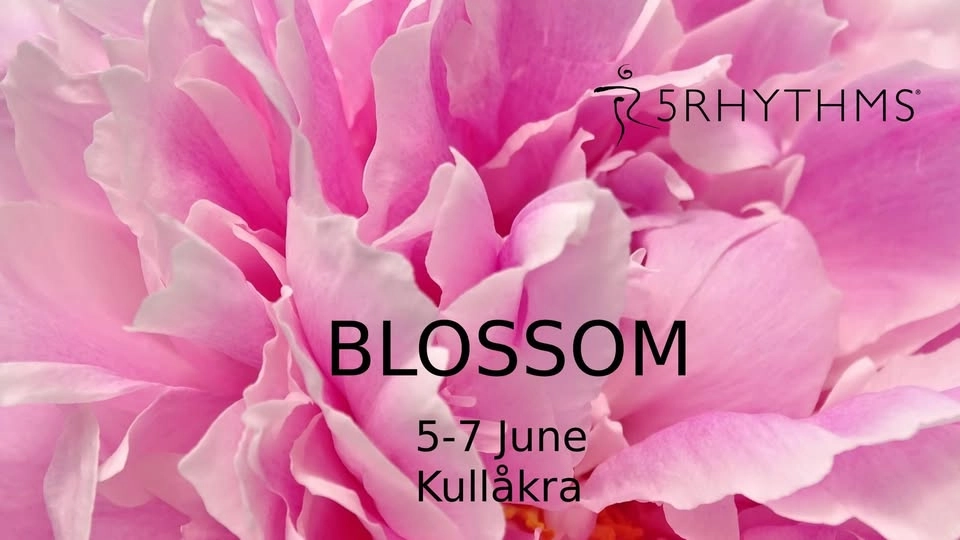 Blossom - 5Rhythms retreat with Susanne and Maria