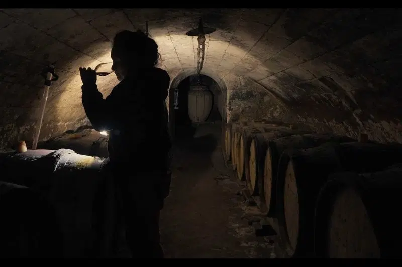 Levures indigènes (Natural yeasts)