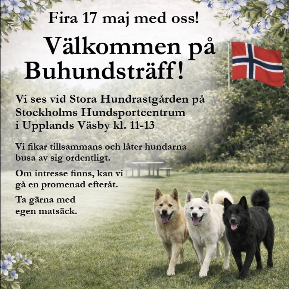 Buhundsträff i Upplands Väsby