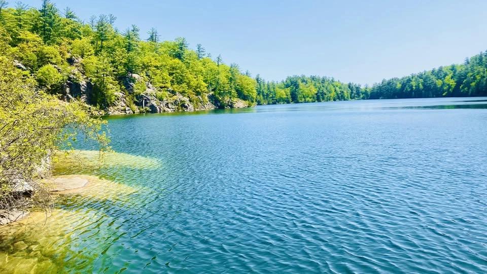 Journée Parc de la Gatineau et le lac Pink!