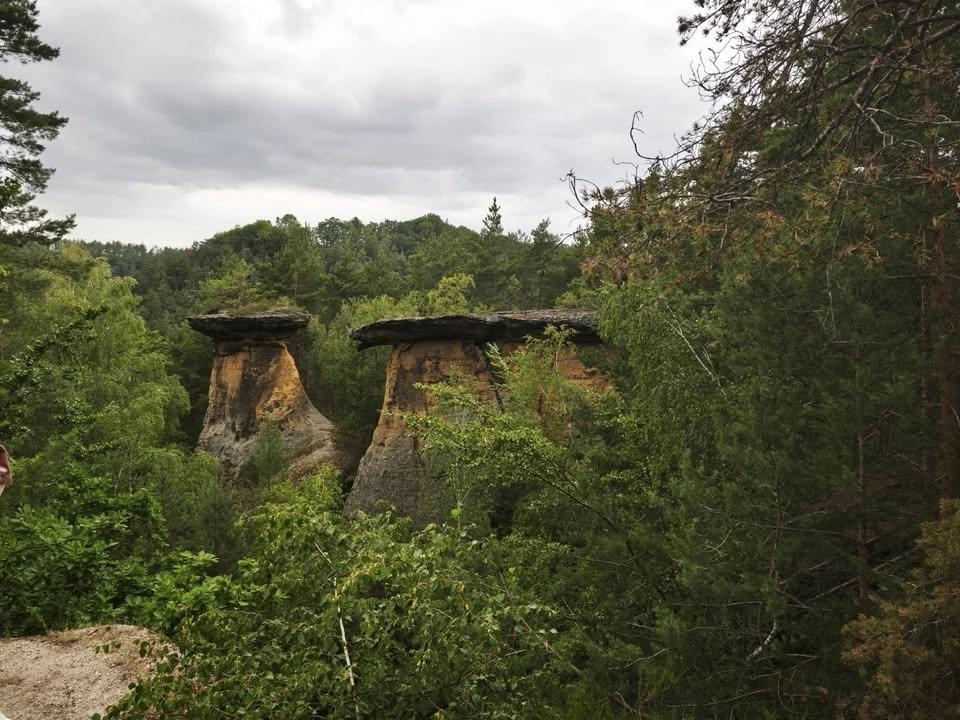 Oheň v duši a zvučící dřeva - SPECIÁL - PŘESPÁVAČKA 🌲🪵
