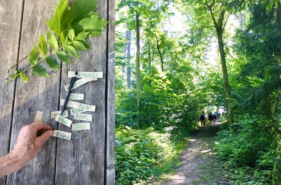 Vandra och sjung för Vättern och för vår vackra bygd - nr 1, se info för fler datum