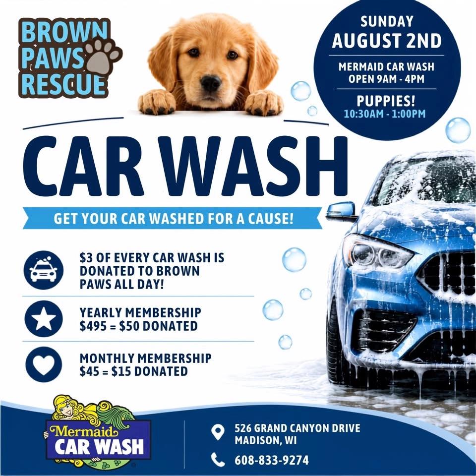 Clean Car for a Cause | Brown Paws Rescue Charity Car Wash