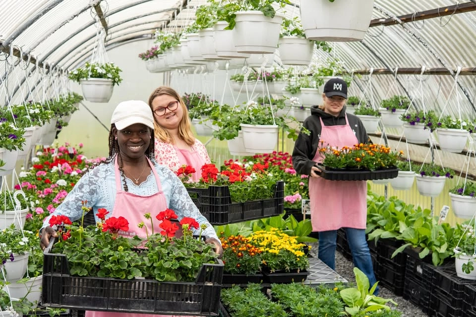 Vårmarknad i växthuset