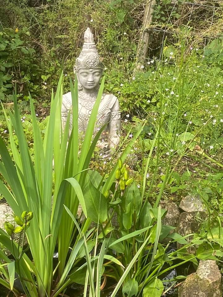 The Herbalist’s apothecary annual garden day