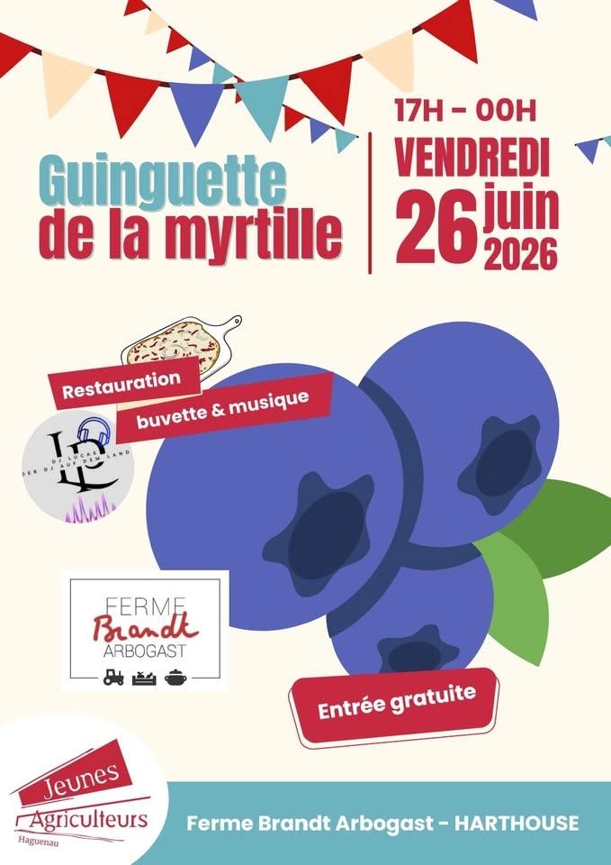 Guiguette de la myrtille