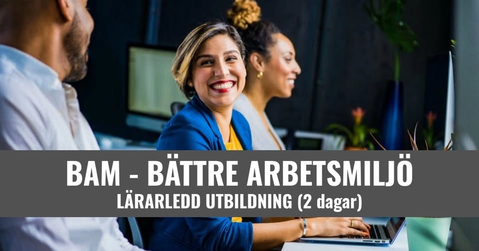 BAM - Bättre Arbetsmiljö - Stockholm Centrum - 8 900 SEK/ pers.