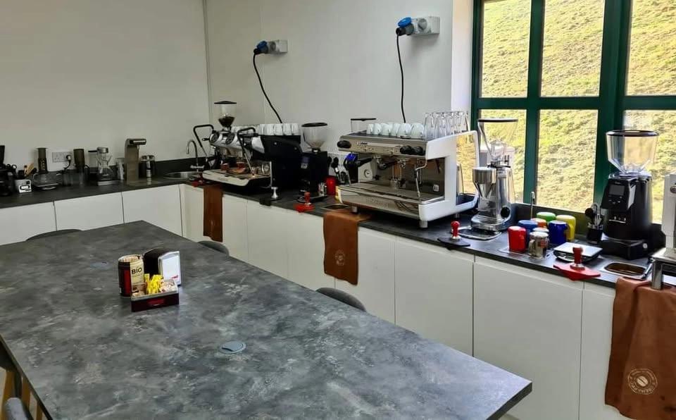 BSA City & Guilds L2 Barista Skills Course at Kimbo UK, Wembley