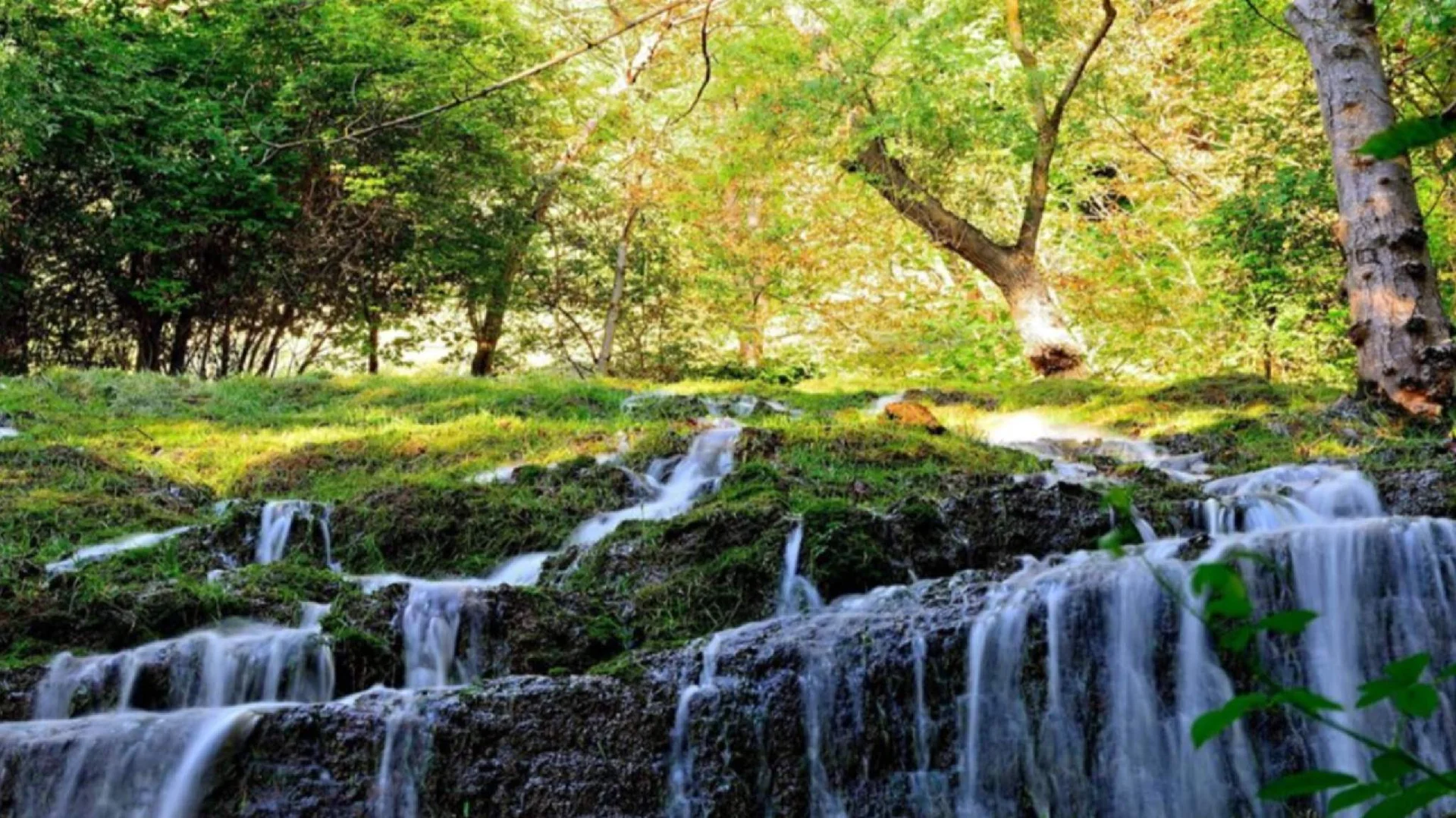 Jueves y Viernes Santo. Monasterio de Piedra, Calatayud. Días 2 y 3 de Abril