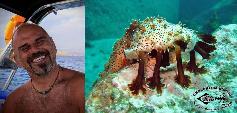 Jenda pod hladinou - promítání fotografií THC a Chaloklum Diving