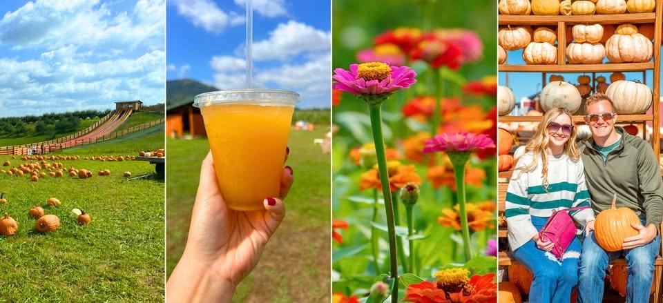 Virginia's Fall Festival & Pumpkin Patch