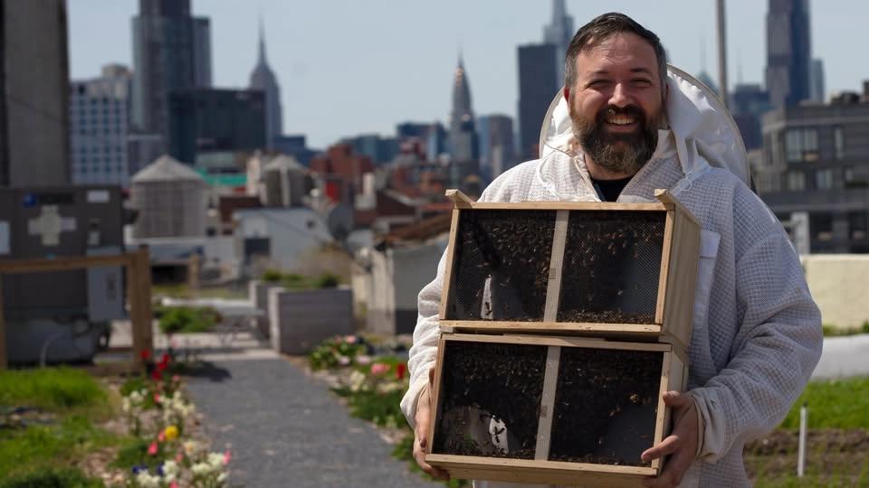 Beekeeper for a Day