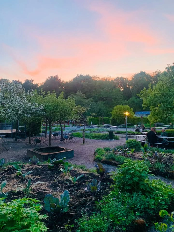 Vintervikens Fredagsbuffé