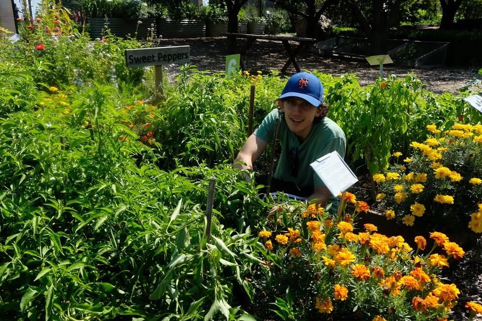 Urban Farm Volunteers