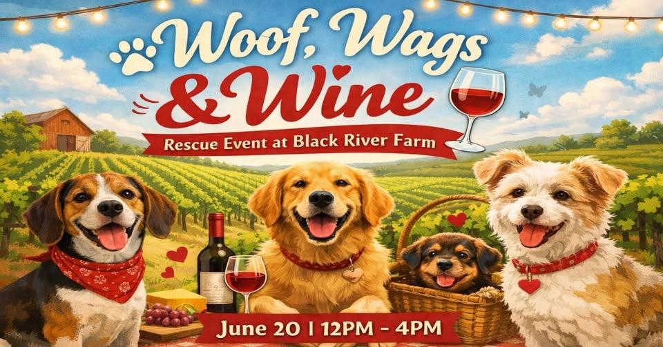 Woof, Wags and Wine