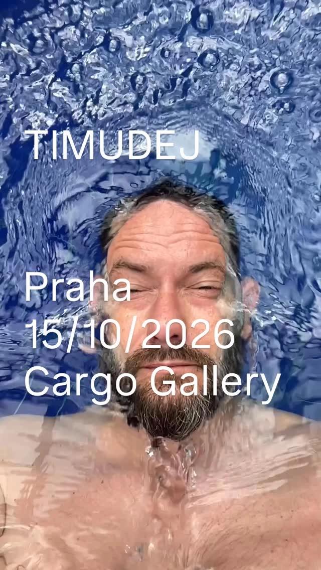 TIMUDEJ at Cargo Gallery